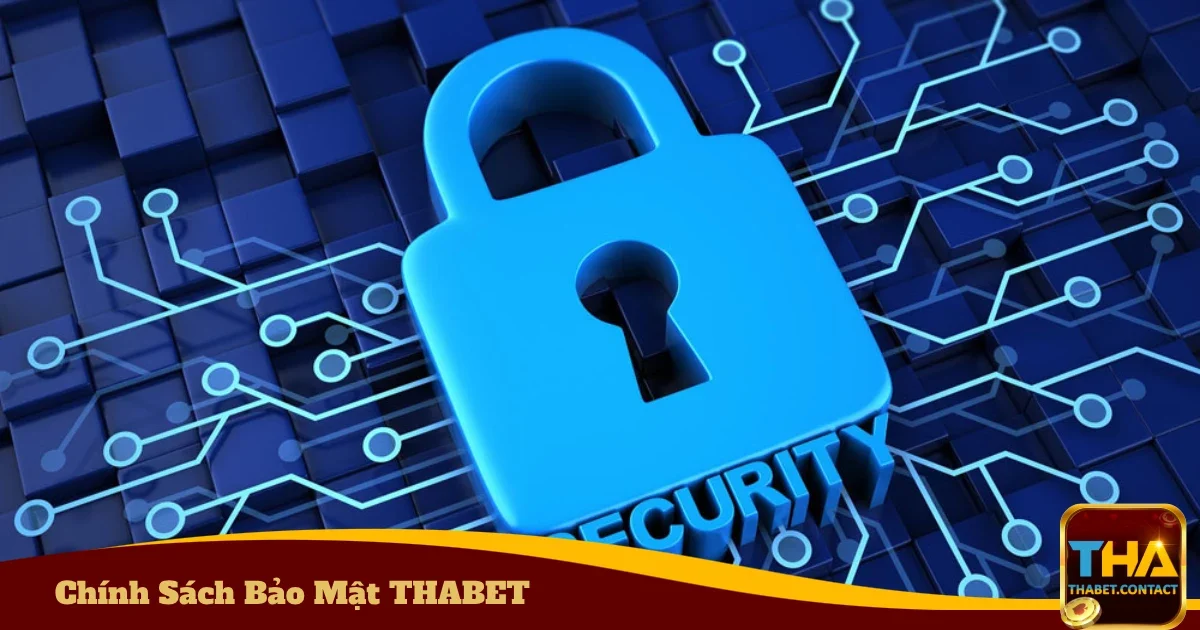 Các thông tin mà THABET thu thập