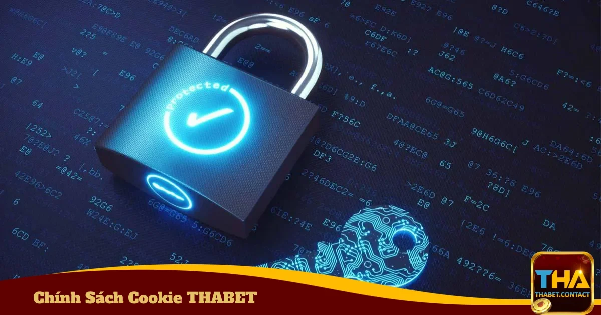 Quản lý Cookie trên trình duyệt của bạn