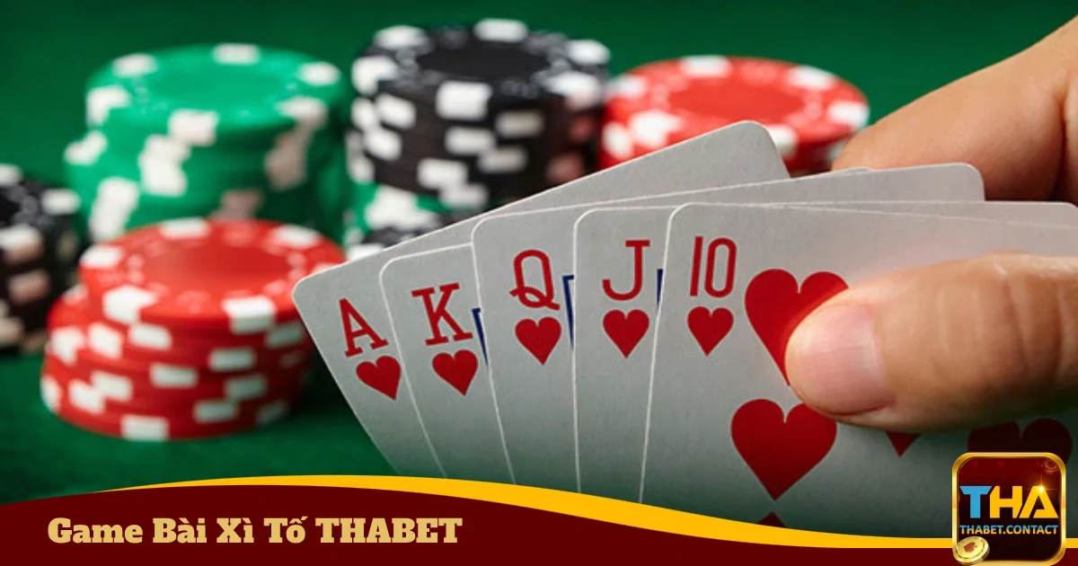 Quy Tắc Cơ Bản Khi Chơi Game Bài Xì Tố THABET
