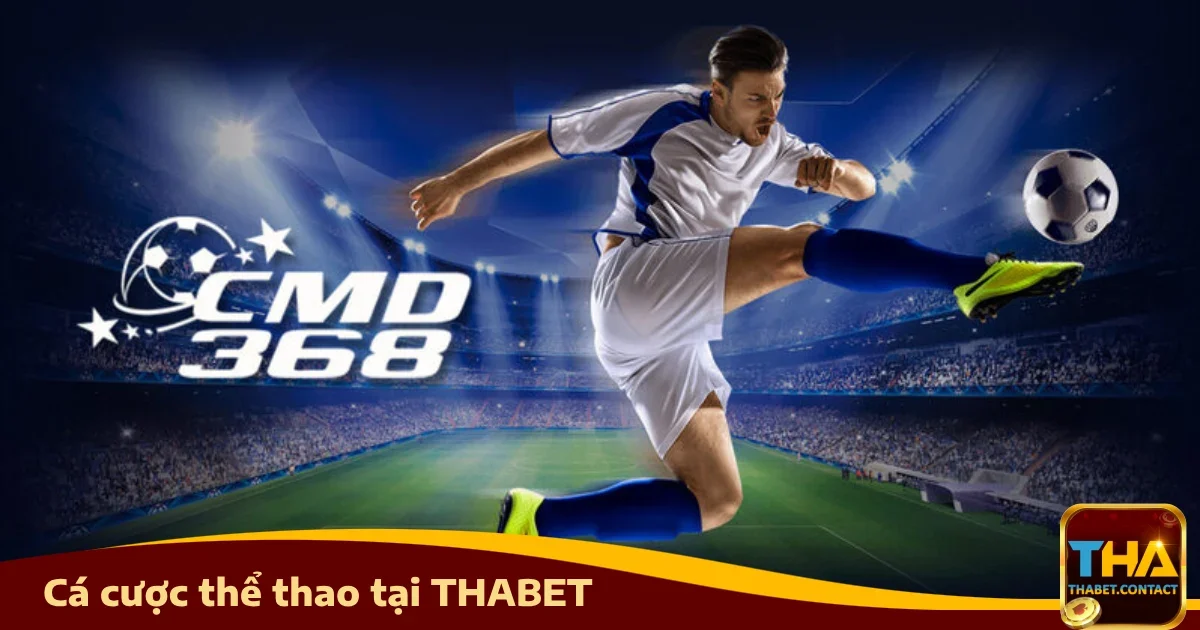 Bí quyết cá cược thể thao thành công tại Thabet