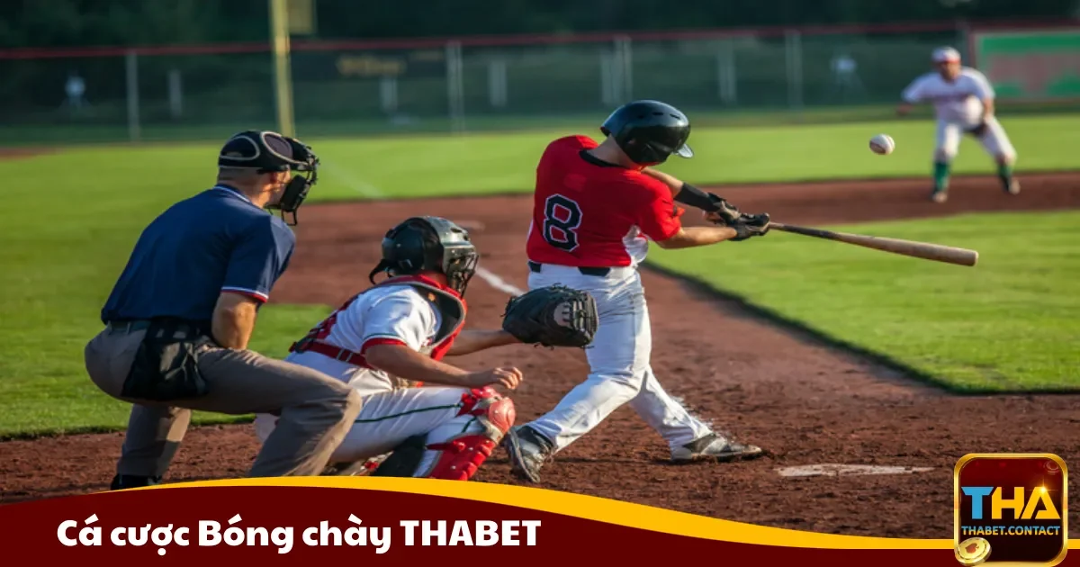Cá cược bóng chày THABET là gì? Hiểu rõ luật chơi và cách đặt cược