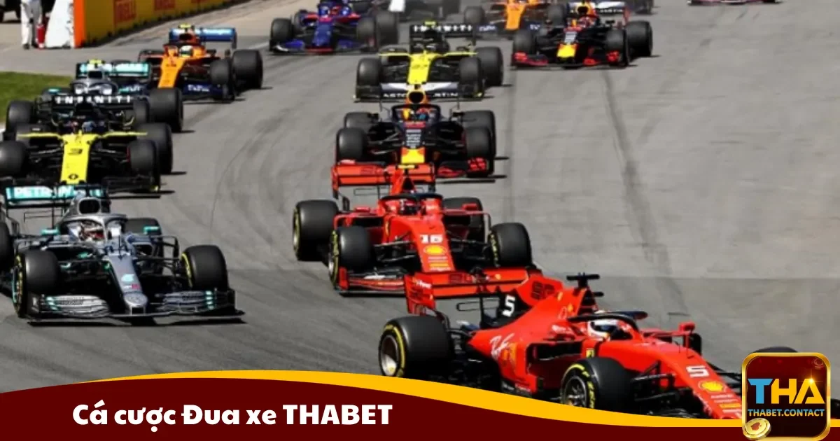 Cá cược đua xe THABET là gì? Các loại kèo và cách đặt cược