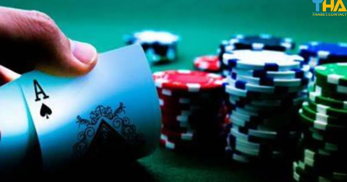 Cách phân tích kết quả trong Sicbo THABET